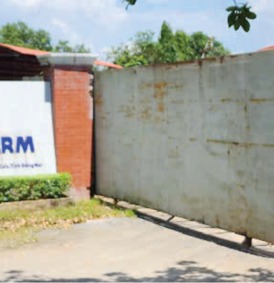 DỰ ÁN PHÚ LÝ FARM (TRẠI GÀ GIỐNG CỦA C.P)